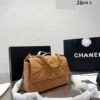 Stylish Fashion Carry Bag C3525