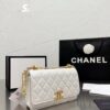 Stylish Fashion Carry Bag C3508
