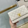 Stylish Fashion Carry Bag C3411