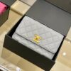 Stylish Fashion Carry Bag C3411