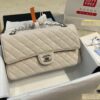 Stylish Fashion Carry Bag C3389