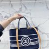 Stylish Fashion Carry Bag C3385