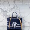 Stylish Fashion Carry Bag C3385