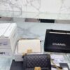 Stylish Fashion Carry Bag C3335