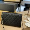 Stylish Fashion Carry Bag C3347