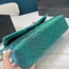 Stylish Fashion Carry Bag C3267