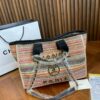 Stylish Fashion Carry Bag C3221