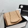 Stylish Fashion Carry Bag C3087