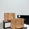 Stylish Fashion Carry Bag C3087