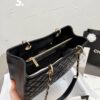 Stylish Fashion Carry Bag C3087