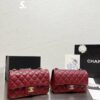 Stylish Fashion Carry Bag C394