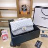 Stylish Fashion Carry Bag C3103