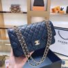 Stylish Fashion Carry Bag C3103