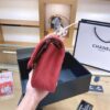 Stylish Fashion Carry Bag C3103