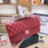 Stylish Fashion Carry Bag C3103