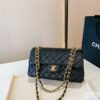 Stylish Fashion Carry Bag C336