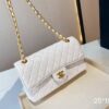 Stylish Fashion Carry Bag C336