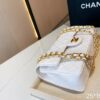 Stylish Fashion Carry Bag C336