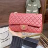 Stylish Fashion Carry Bag C316