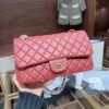 Stylish Fashion Carry Bag C316