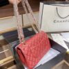 Stylish Fashion Carry Bag C316