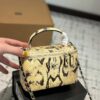 Stylish Fashion Carry CN Handbag C756