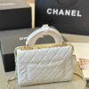 Stylish Fashion Carry Bag C4022