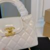 Stylish Fashion Carry Bag C4019