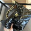 Stylish Fashion Carry Bag C4017