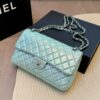 Stylish Fashion Carry Bag C4013