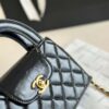 Stylish Fashion Carry Bag C4010