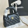 Stylish Fashion Carry Bag C4010