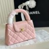 Stylish Fashion Carry Bag C4010