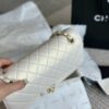 Stylish Fashion Carry Bag C4009