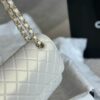 Stylish Fashion Carry Bag C4009