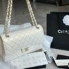 Stylish Fashion Carry Bag C4009
