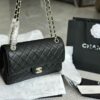 Stylish Fashion Carry Bag C4009