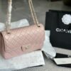 Stylish Fashion Carry Bag C4009
