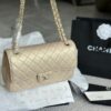 Stylish Fashion Carry Bag C4009