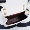 Stylish Fashion Carry CN Handbag 670 Stylish Fashion Carry CN Handbag 670