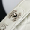 Stylish Fashion Carry CN HandBag 529