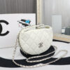 New Collection Fashion CN HandBag 529