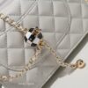 Stylish Fashion Carry CN HandBag 527.1