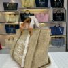 Stylish Fashion Carry CN HandBag 487-2