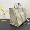 Stylish Fashion Carry CN HandBag 481