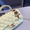 Stylish Fashion Carry Bag C3915