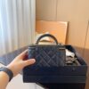 Stylish Fashion Carry Bag C3856