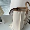 Stylish Fashion Carry Bag C3810