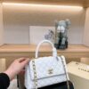 Stylish Fashion Carry Bag C3778