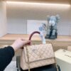 Stylish Fashion Carry Bag C3778